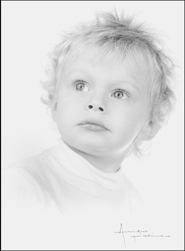 copyright AULO FOTO STUDIO tutti i diritti riservati