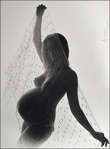 copyright AULO FOTO STUDIO tutti i diritti riservati