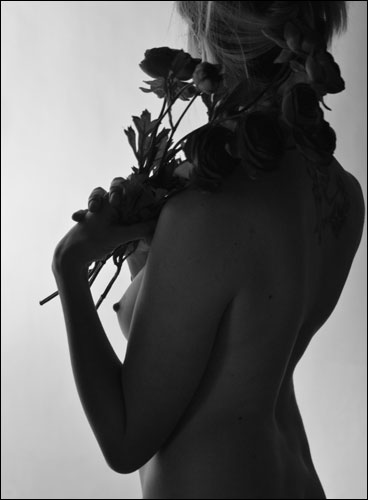 copyright AULO FOTO STUDIO tutti i diritti riservati